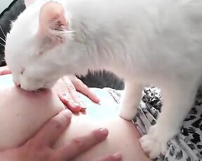 Порно с котом, животное ласкает хозяйке грудь