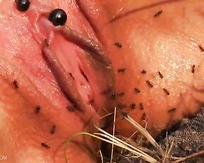 Порно с насекомыми, девушку заставили лежать голой у муравейника