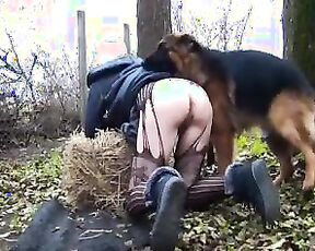 Собака овчарка ебет соседку в огороде, холодным осенним утром