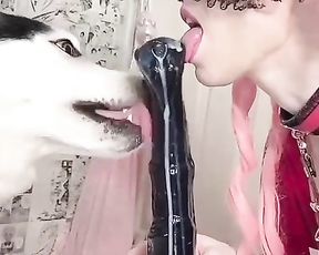 Розовая шлюха сосет и трахается с собакой хаски